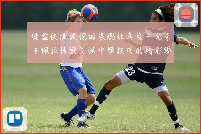 键盘侠谢泼德的表现让乌度卡无奈卡佩拉传授艾顿中锋技巧的精彩瞬间